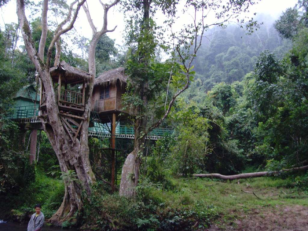 勐仑植物园，西双版纳勐仑植物园门票—地址—交通路线