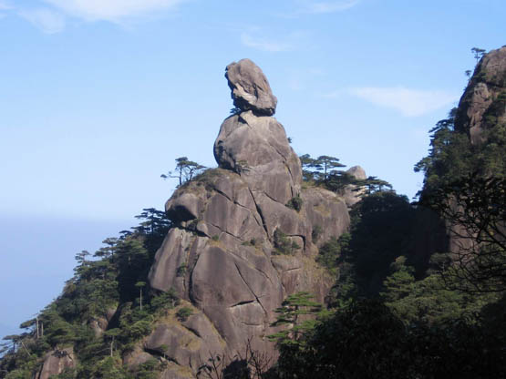 司春女神