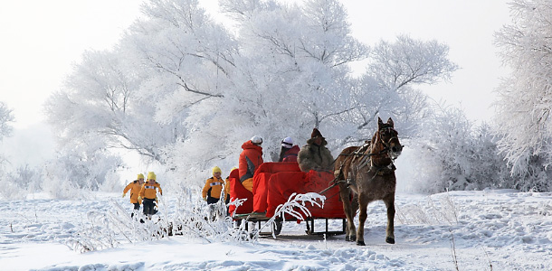 林海雪原猜成语_林海雪原图片(2)
