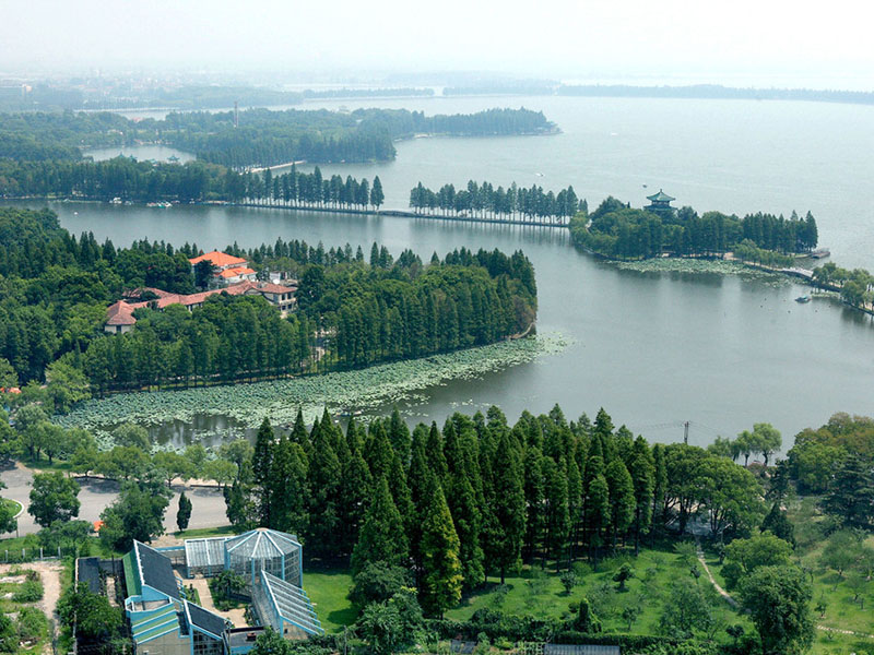 洪湖市桐湖农场多少人口_洪湖市赵玉清图片(3)