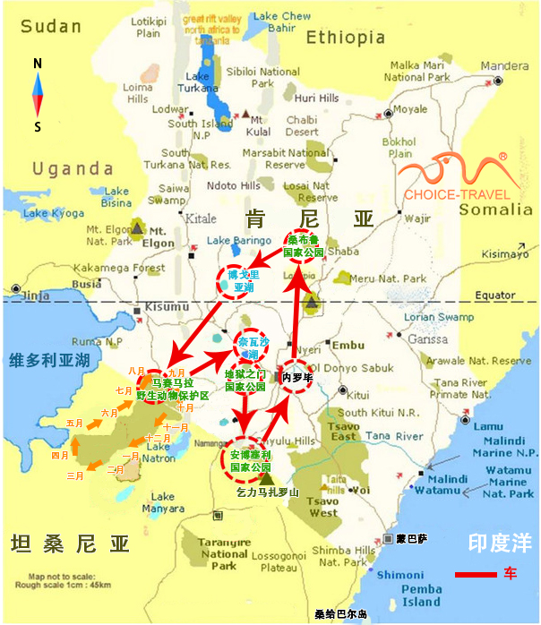 迁徙盛宴—肯尼亚狂野迁徙季10日观兽之旅（活力经济系列）