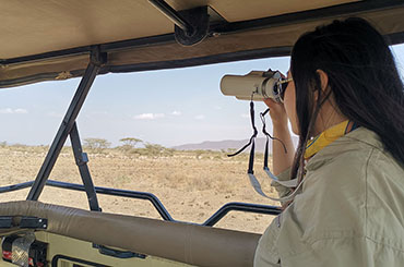 肯尼亚野生动物游猎7日舒适惬意系列(五一发团)