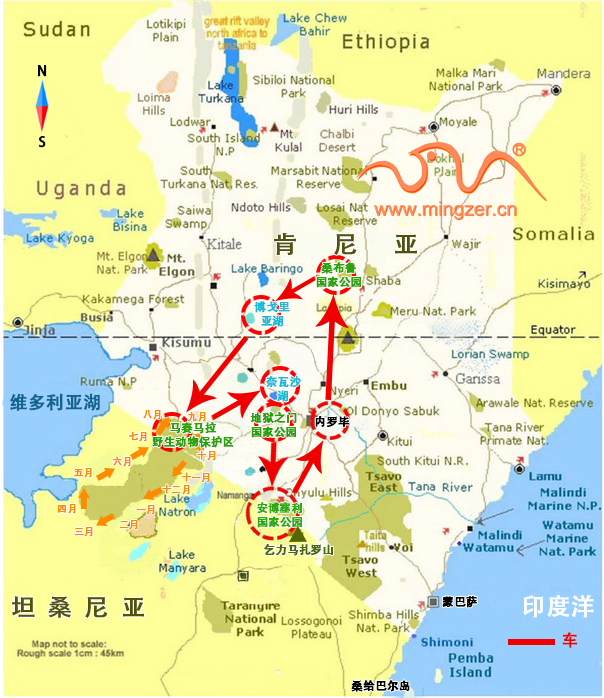 肯尼亚野生动物游猎10日经典（舒适惬意系列）