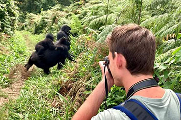 布温迪不可穿越的国家公园4日 大猩猩追踪之旅（飞进飞出）